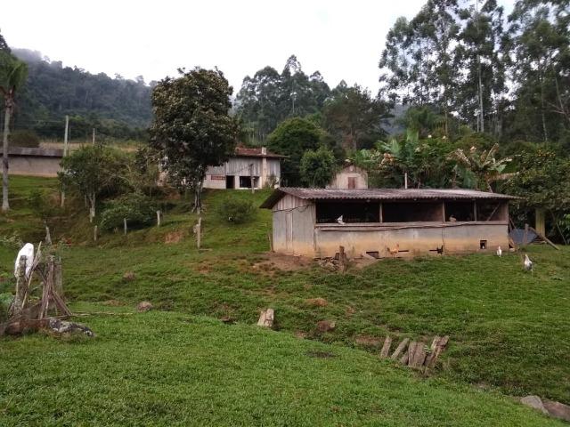 Lindo sítio em Itaiópolis - Foto 12