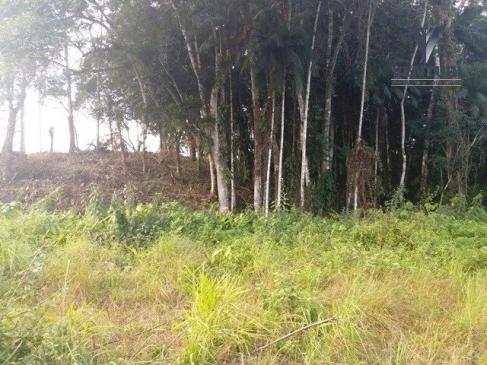 Terreno à venda em Salto do norte, Blumenau cod:4310 - Foto 5