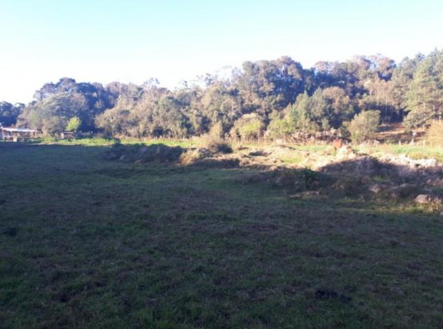 Chácara São José Dos Pinhas - Foto 4