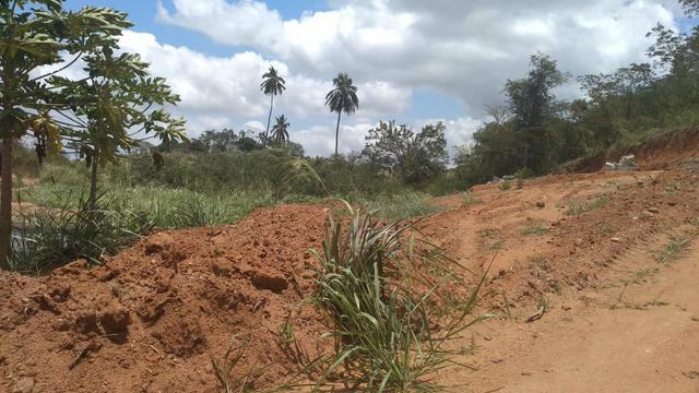 Terreno em sítio - Foto 6