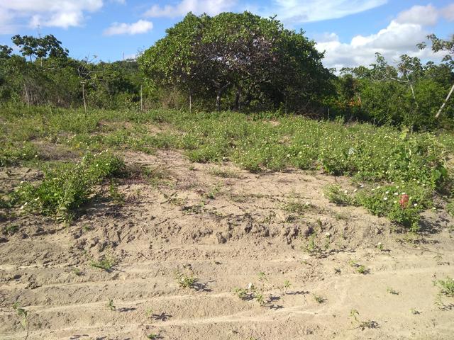 Imbatível terreno na praia de ponta de pedras!! - Foto 8