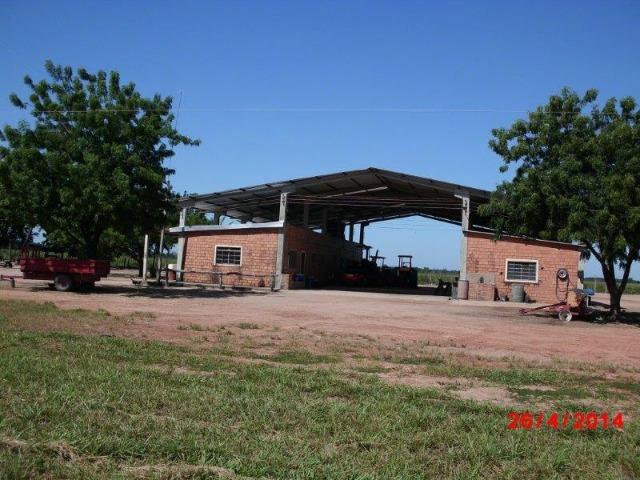 Fazenda 4400 hectares divisa com Goiás, a 500 km de Cuiabá e 500 km de Goiânia! PECUÁRIA! - Foto 7