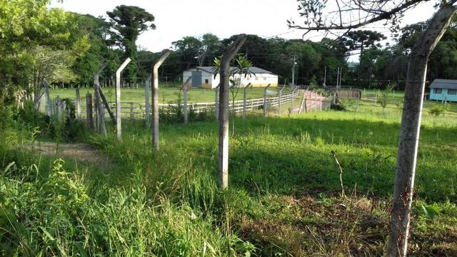 Chácara em Campestre da Faxina -São José dos Pinhais-R$190.000,00 - Foto 9