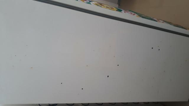 Geladeira Consul - Foto 5