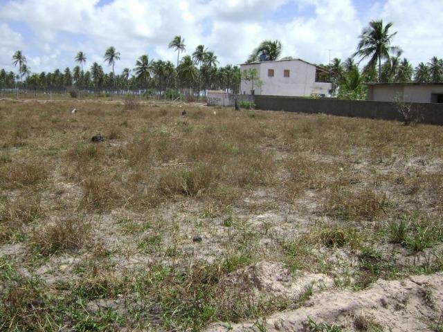Terreno em Aver-o-mar (Barra de Sirinhaém) - Foto 6