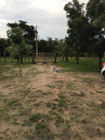 Sítio de 60Hectares a 13Km da Cidade do Buriti dos Lopes. (140mil) - Foto 13