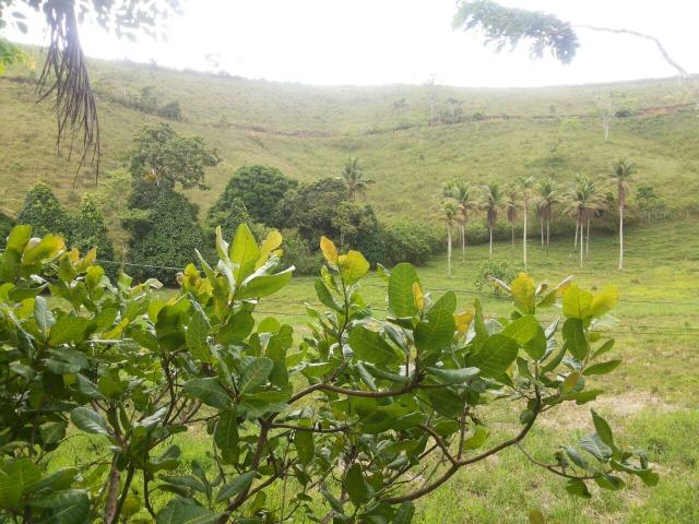 Propriedade rural com 140 HEC