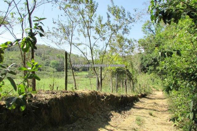 Fabio Paes Imóveis - Fazenda 28 alq - luxo - Oportunidade!!! - Foto 15