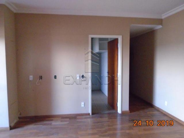 Apartamento para alugar com 2 dormitórios em Jardim sao jose, Sertaozinho cod:L1256 - Foto 15