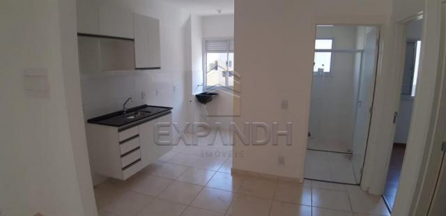 Apartamento para alugar com 2 dormitórios em Jardim veneto ii, Sertaozinho cod:L1376 - Foto 13