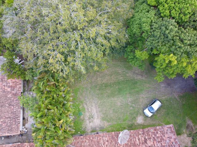 Área em Rio Largo - Foto 19