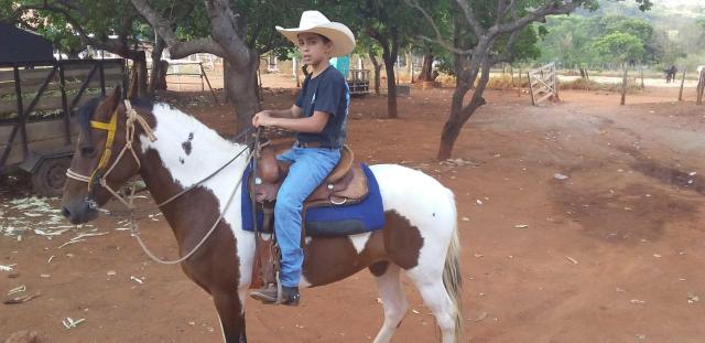 Venda de cavalo - Foto 2
