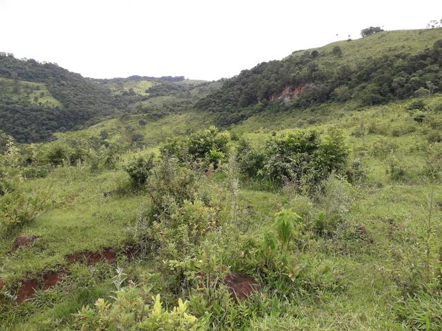 Fazenda - Foto 8
