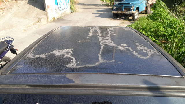 * - Foto 5