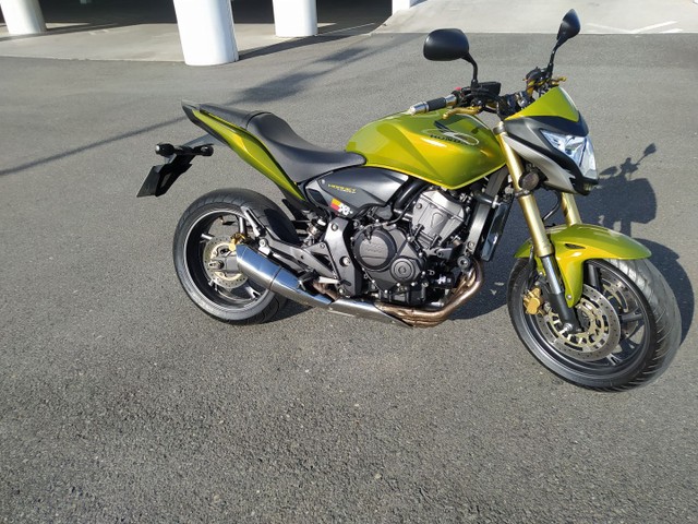HORNET 2012 TOP!!
