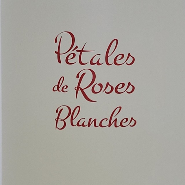 PETALAS DE ROSES BLANCHES - Foto 5