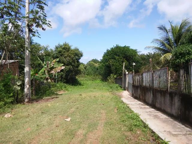 Vendo Sítio em Camaçari - Foto 4