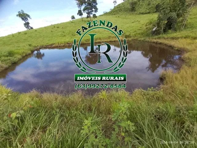 Chácara/Fazenda 11 alqueires  Próximo a Palmas - Foto 14