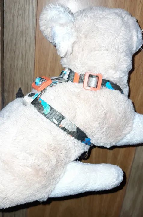 Peiteira resistente pequena. Nova