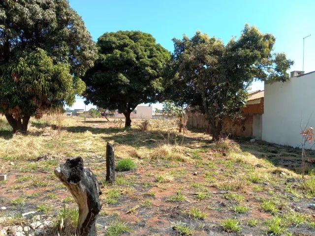 foto - Brasília - Taguatinga Norte (Taguatinga)