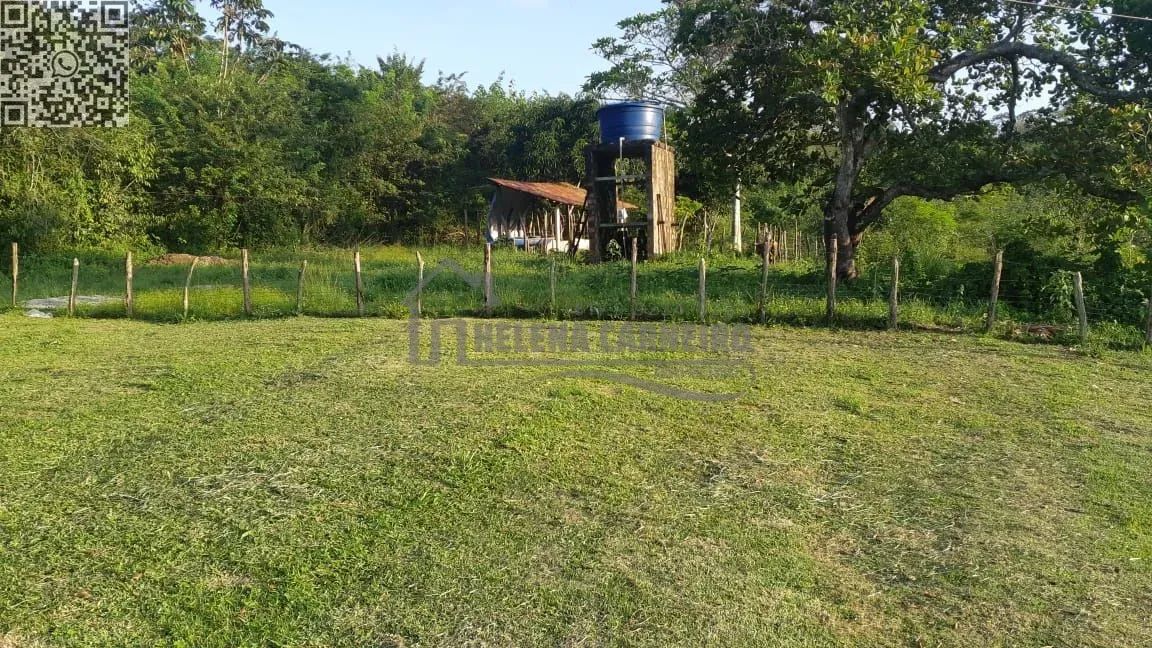 Paudalho  Sítio  Sítio em Paudalho, porteira fechada, 5 hectares - Foto 7