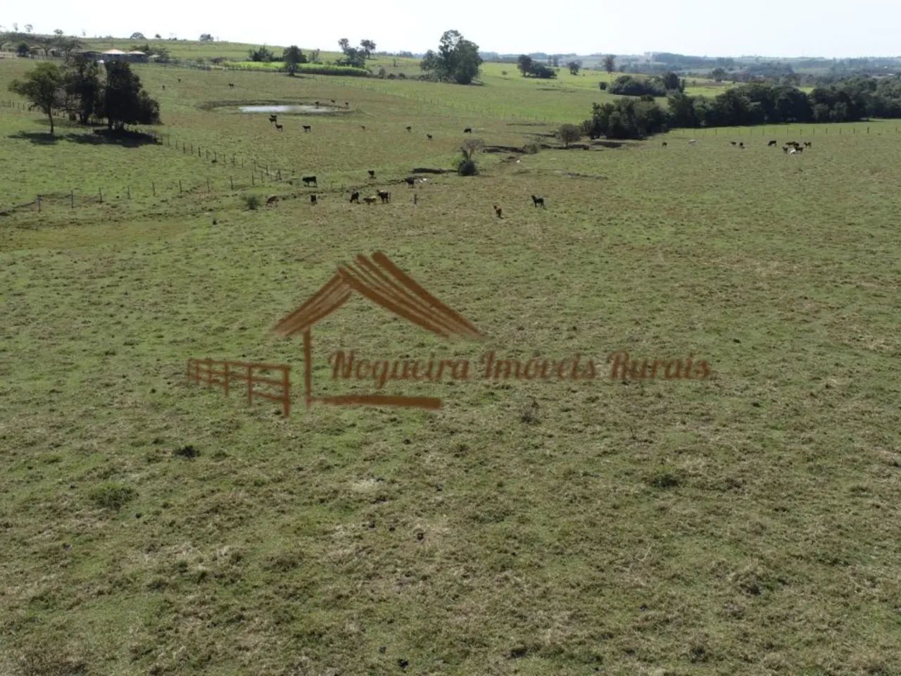 Sítio com maravilhosa represa - Foto 15