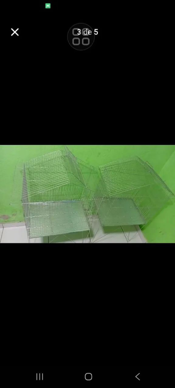 Viveiro novos64319325175554122