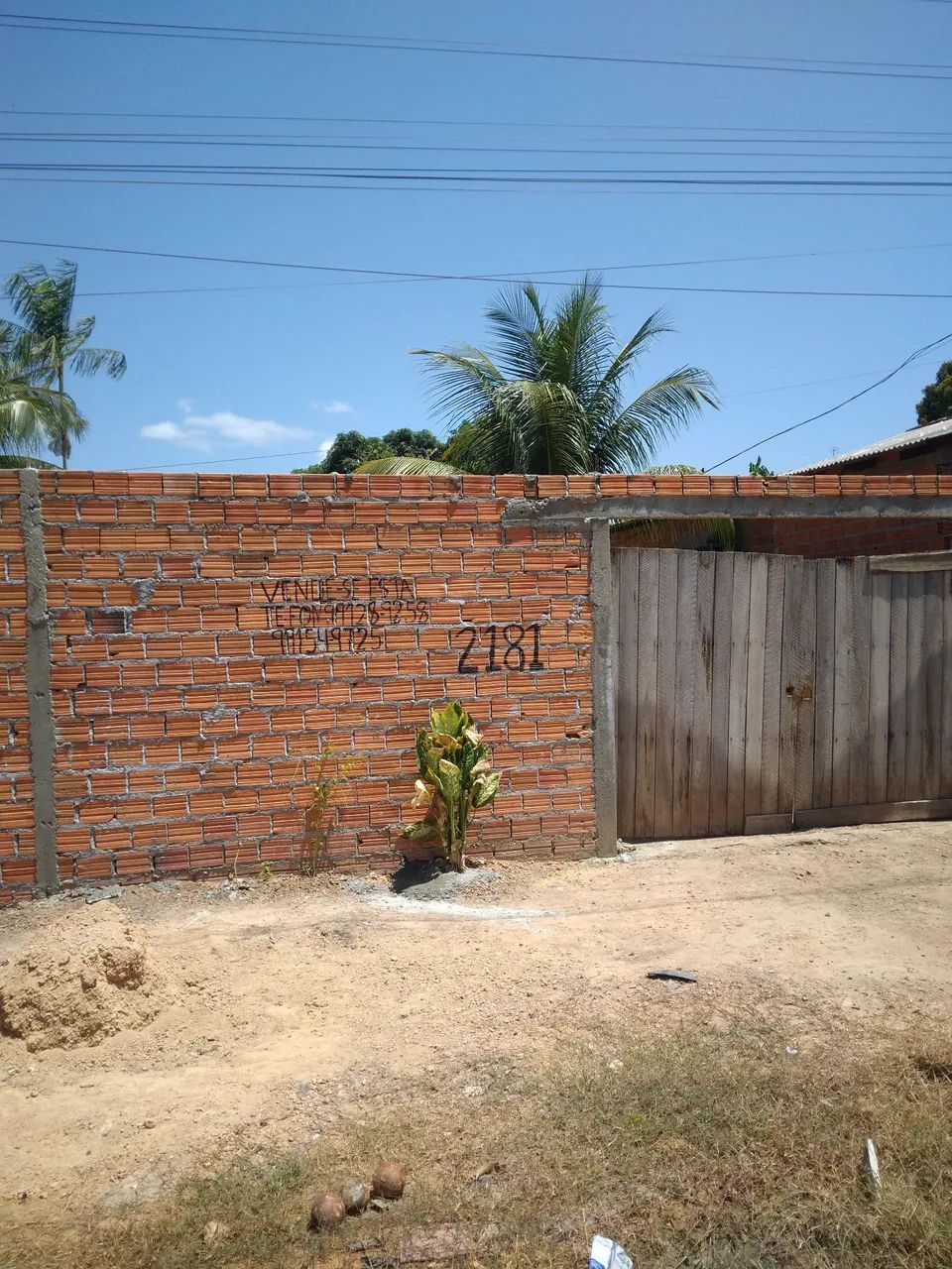 Vendo 