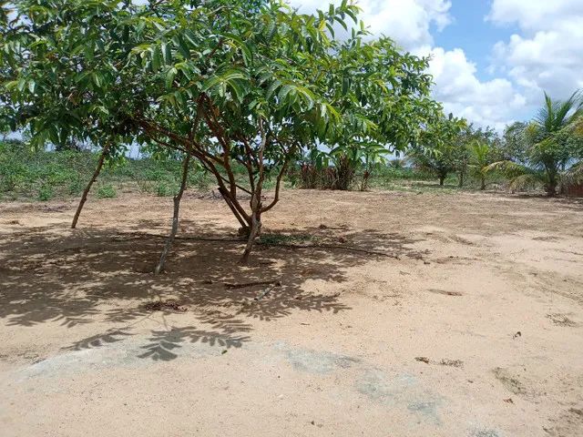 Linda Granja em Vera Cruz com 50 por 60 lugar top para viver