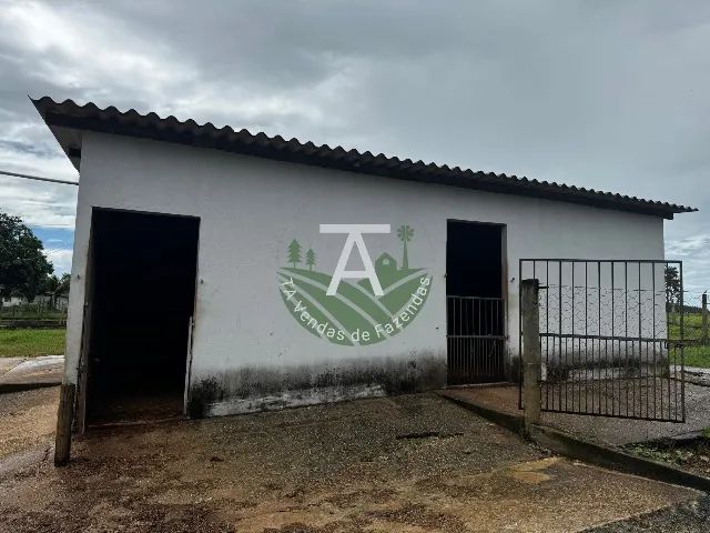 Haras de 3,5 alq em inhumas-GO - Foto 4