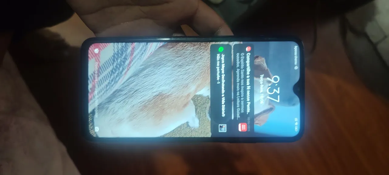 Xiaomi Poco M3 única dona