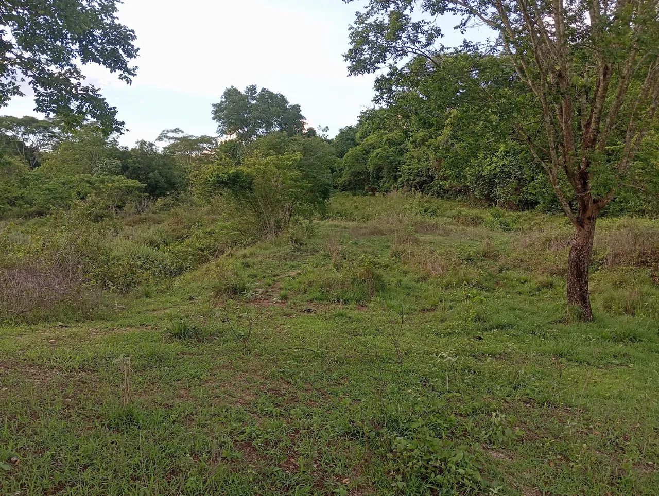 Chacara Rio Vermelho  - Foto 8