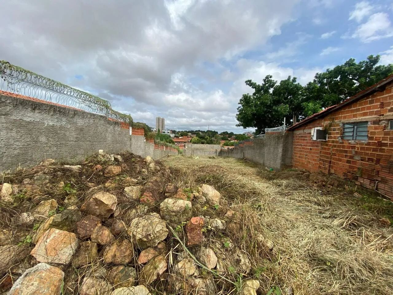 Terreno - Aluguel - Foto 4