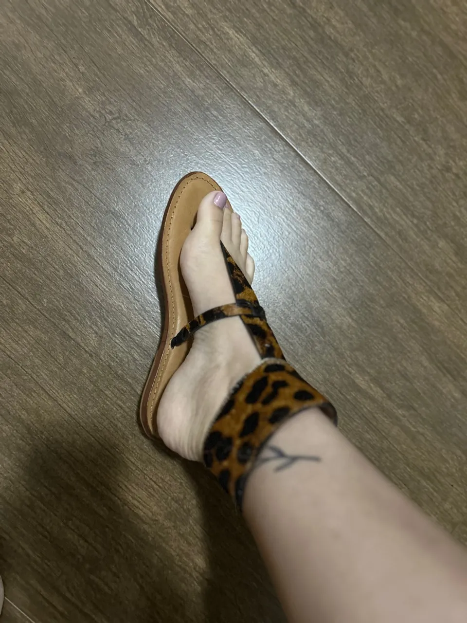 Rasteirinha Schutz oncinha