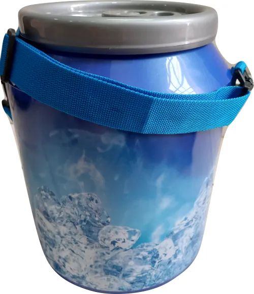 Cooler Dc-12-ICE - Caixa térmica Decorada para 12 latas - Foto 2