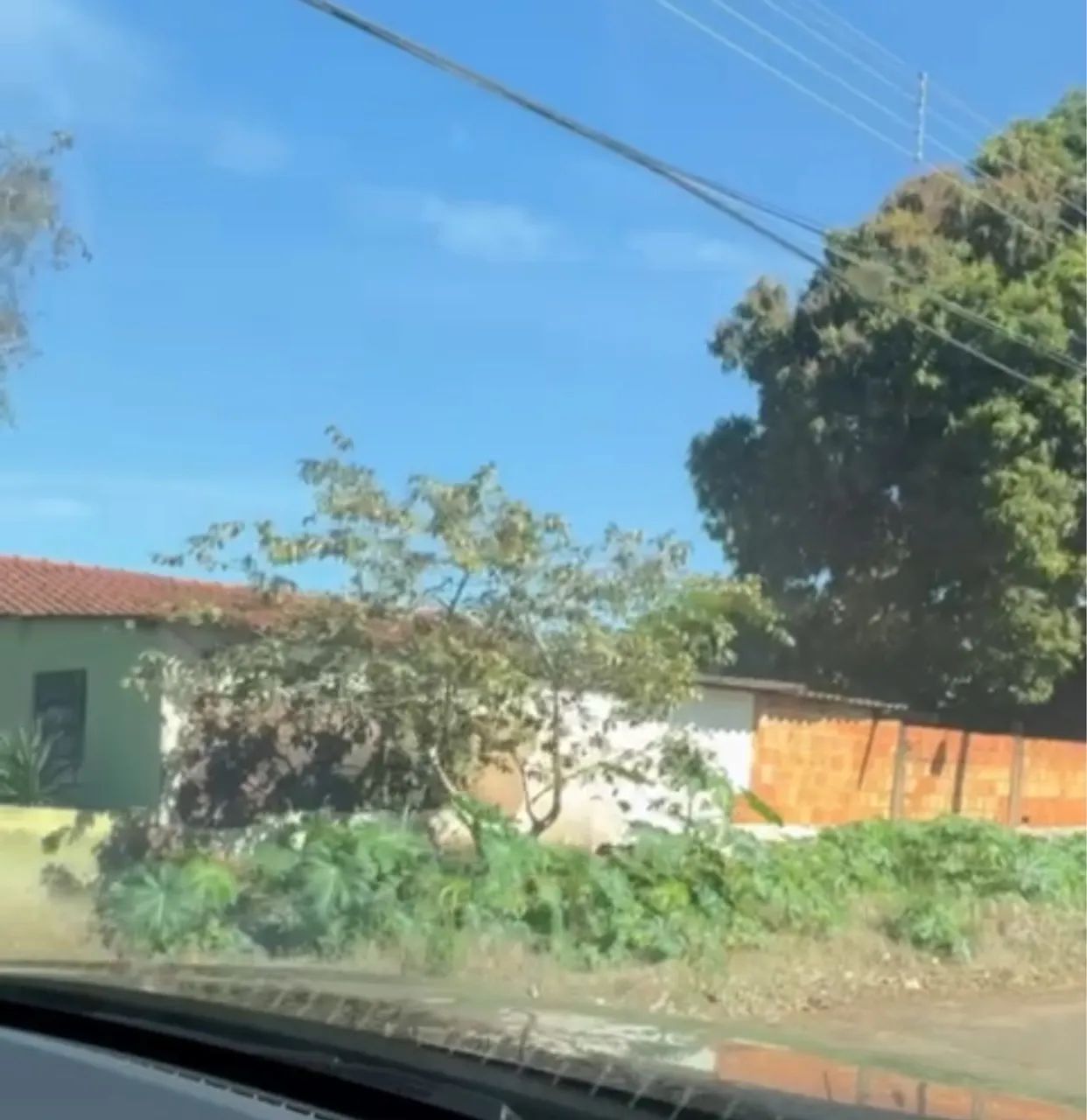 foto - Campo Grande - Parque dos Novos Estados