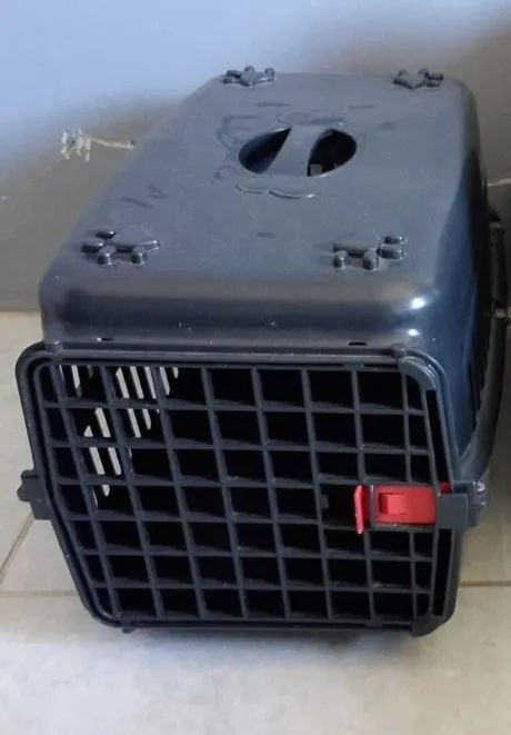 Caixa de Transporte para Cães e Gatos