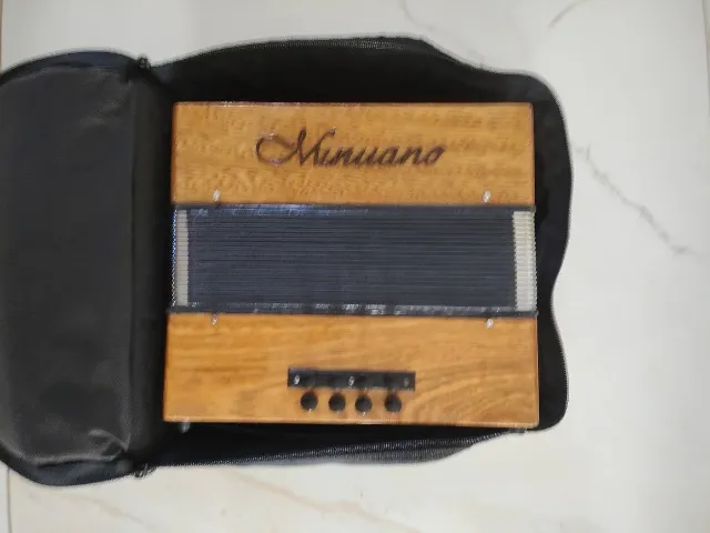 Acordeon, gaita, sanfona de botão, 8 baixos, 21 botões na mão direita, MINUANO semi nova.