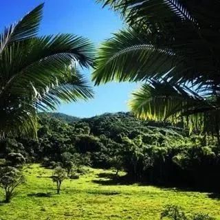 Pousada lucrativa à venda no Rio Tavares - Foto 2