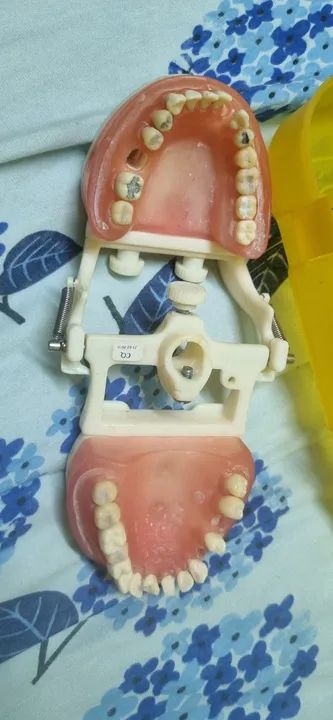 Manequim Odontologico PRONEW - Foto 4