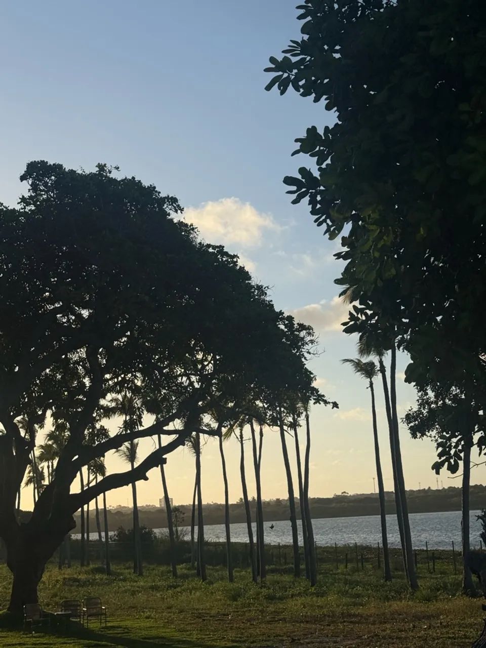 Lote frente lagoa - Vila dos Pássaros Eusébio  - Foto 3