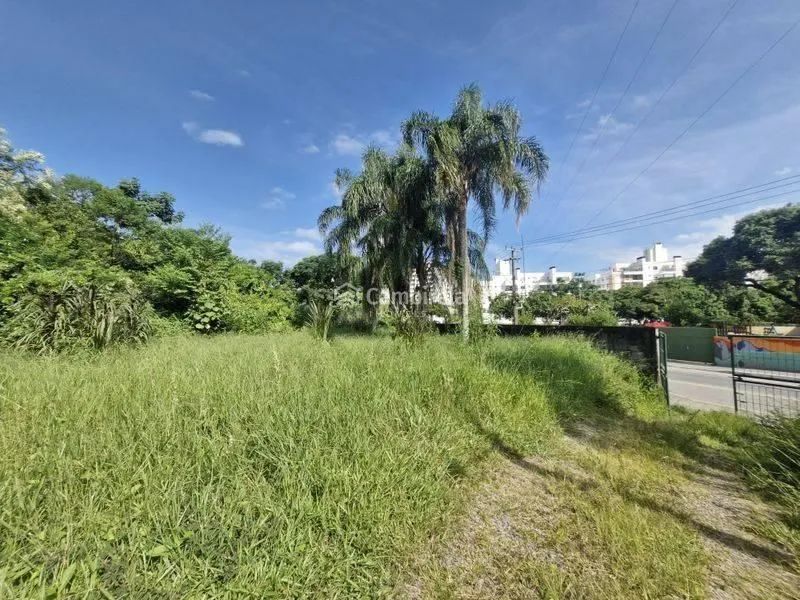 Terreno Florianópolis - SC - Foto 4