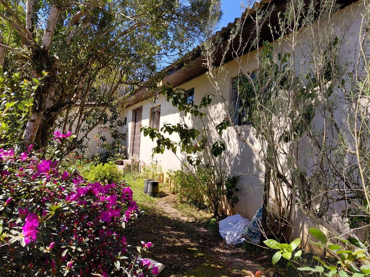 Casa  comercial  rural.  - Foto 4