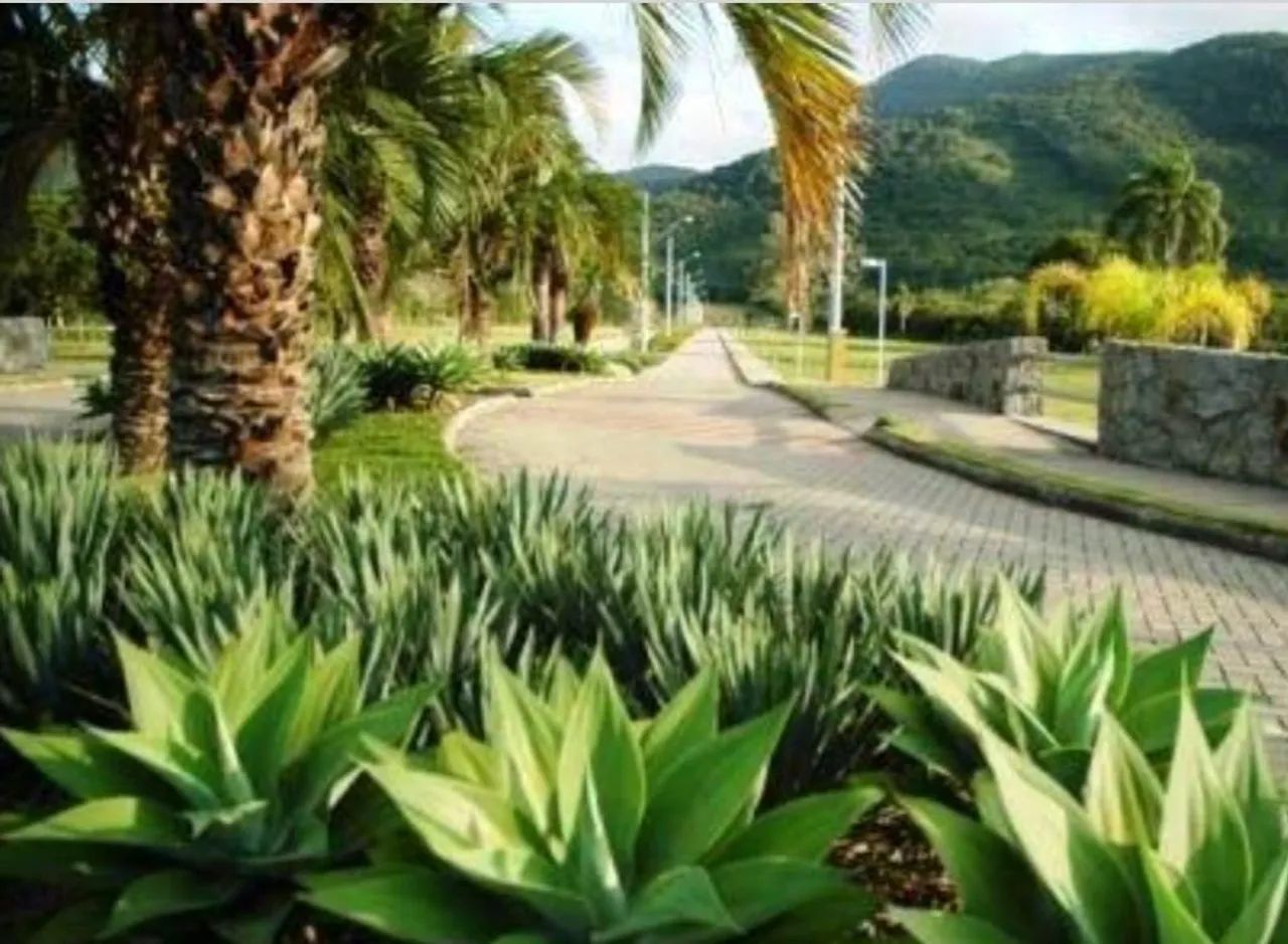 Terreno para Venda em Florianópolis, Ribeirão da Ilha - Foto 3