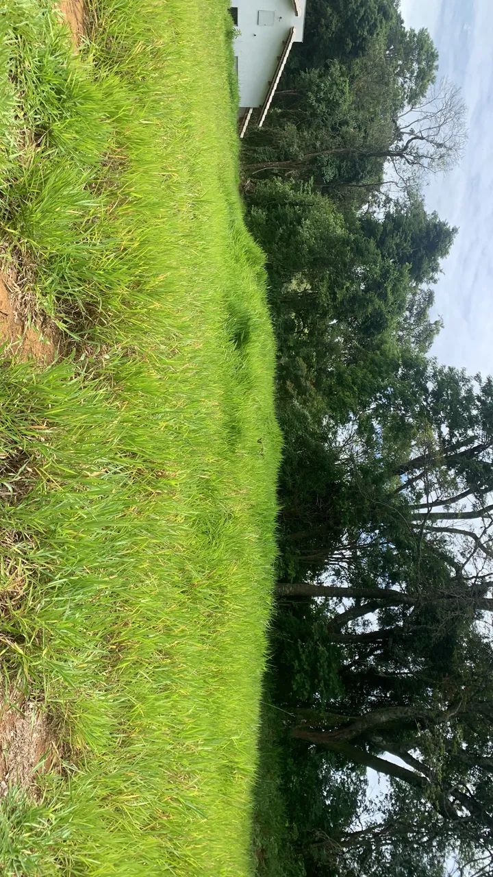 Vendo terreno pinhalzinho - SP - Foto 3