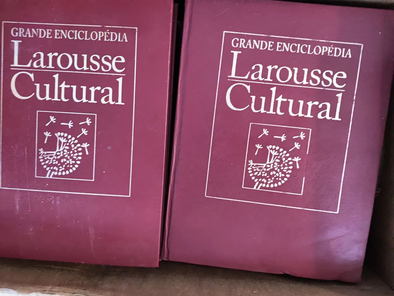 Enciclopedia Larousse Completa