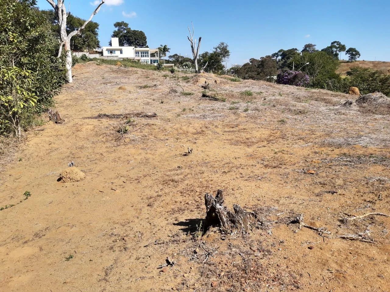 Lote / Terreno - Salvaterra - Foto 5