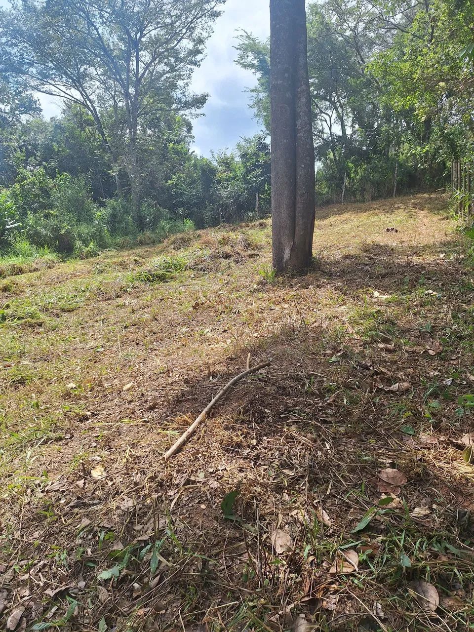Vendo excelente lote  - Foto 3