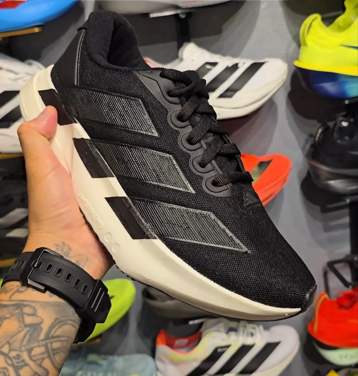 Tenis