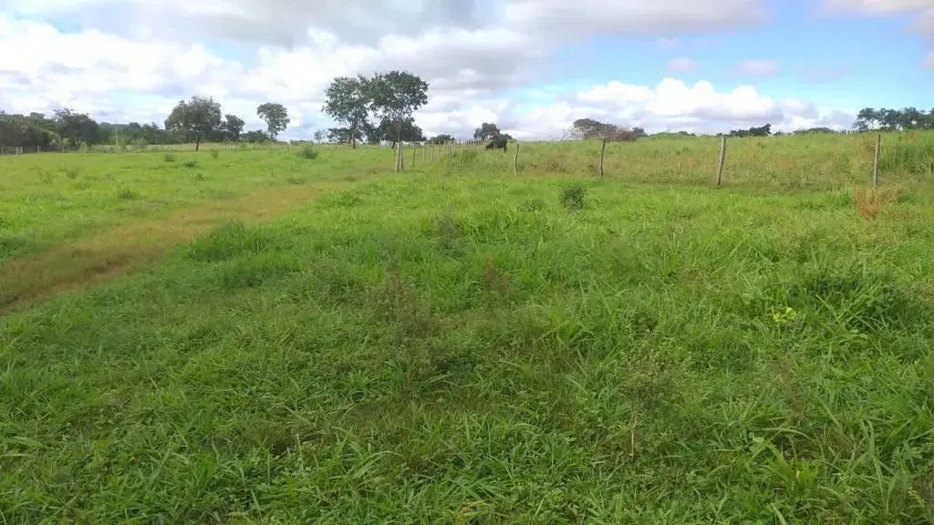 chacara Sao miguel passa quatro - Foto 4